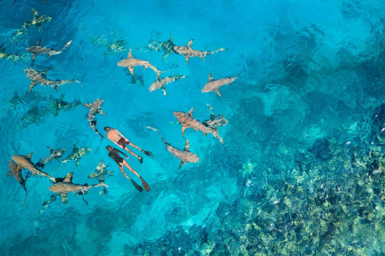 Anantara Veli Maldives (adults Only) Resort Veligandu